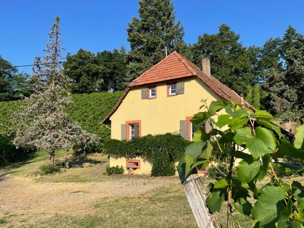 Rebhaus Durbach Vila Exterior foto